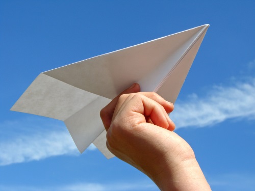 Изображенеи отправки бумажного самолета, Обязательный досудебный порядок